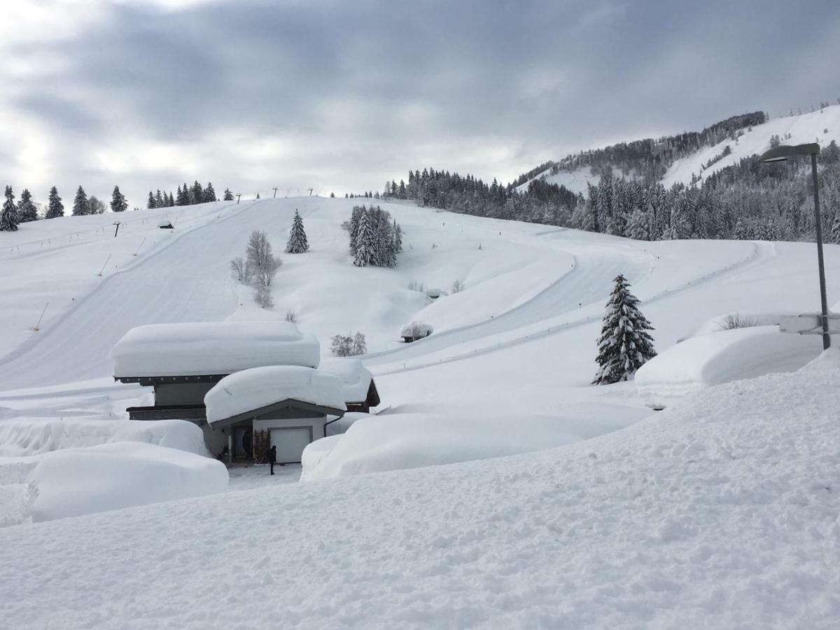 Chalet Karin Гохфільцен Екстер'єр фото